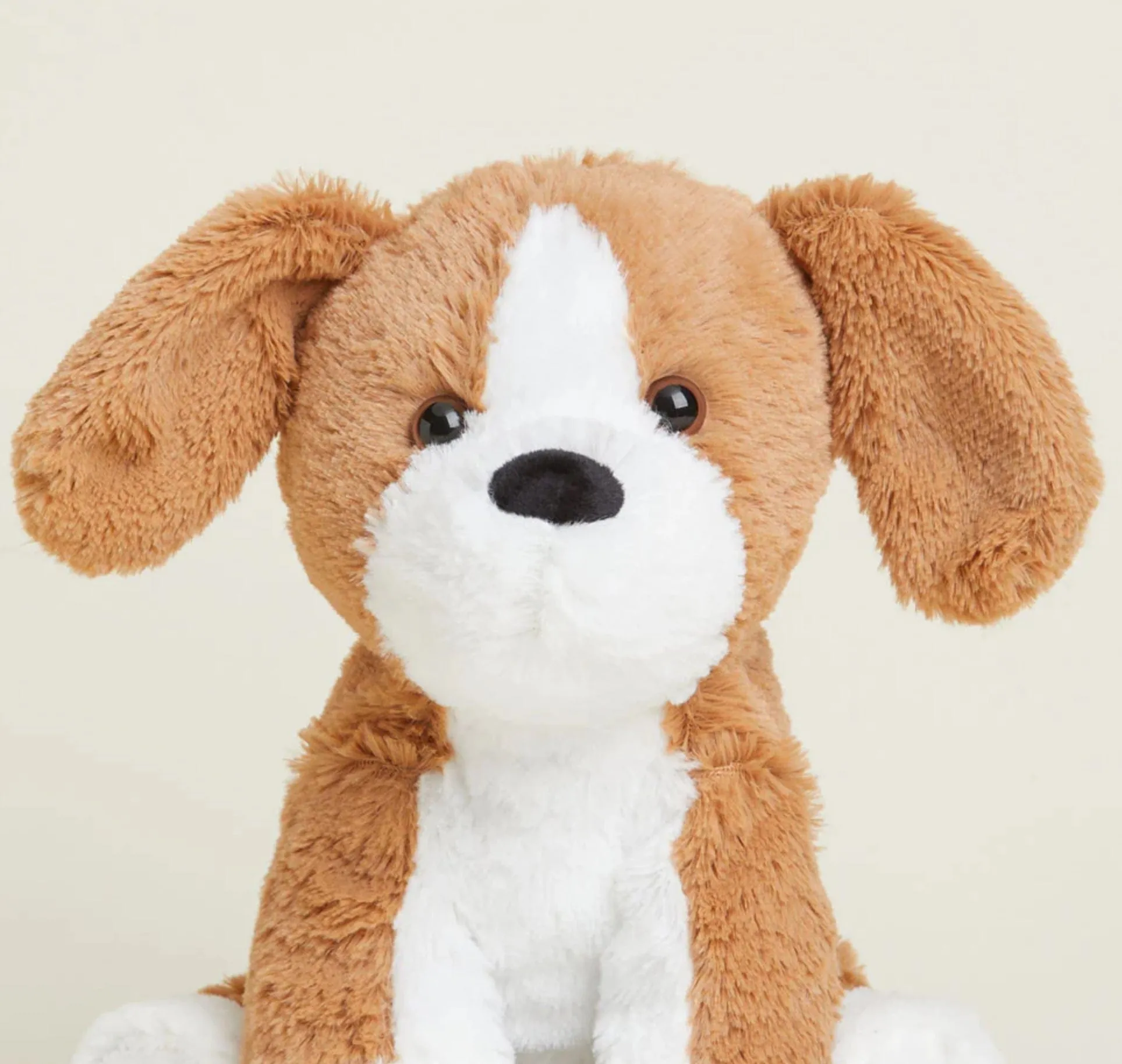 Beagle Warmie