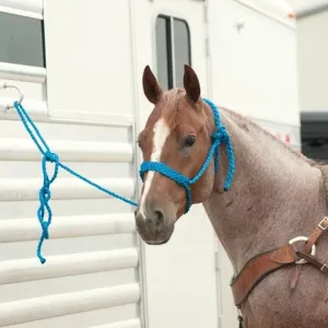 Braided Mule Style Halter with Lead (HALTERBR)