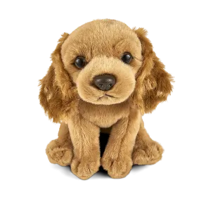 Cocker Spaniel Puppy