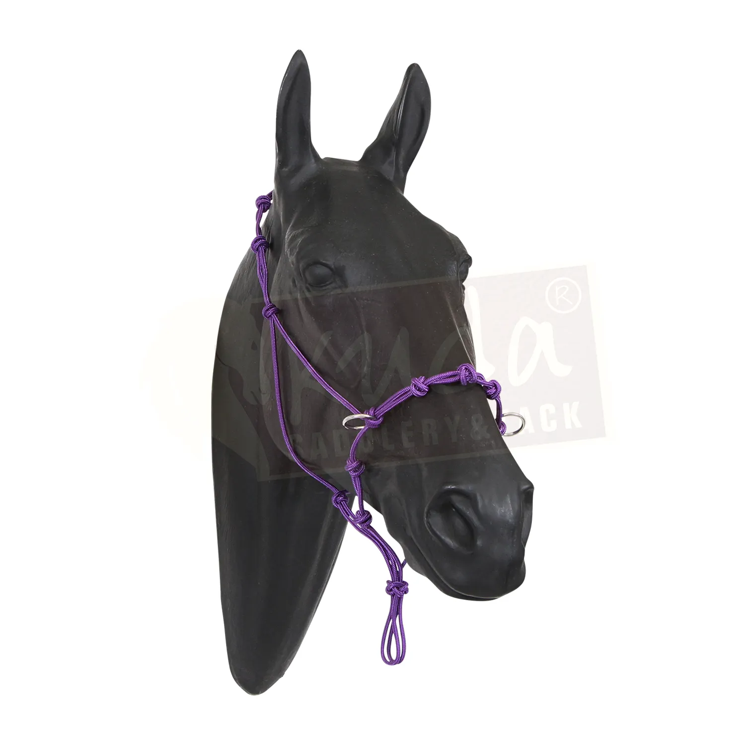 Halter - 5 Nose Knots, 4 Chin Knots, 5 Poll Knots and 2 Rings
