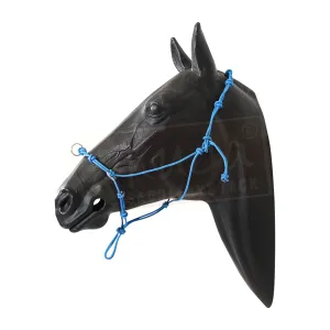 Halter - 5 Nose Knots, 4 Chin Knots, 5 Poll Knots and 3 Rings