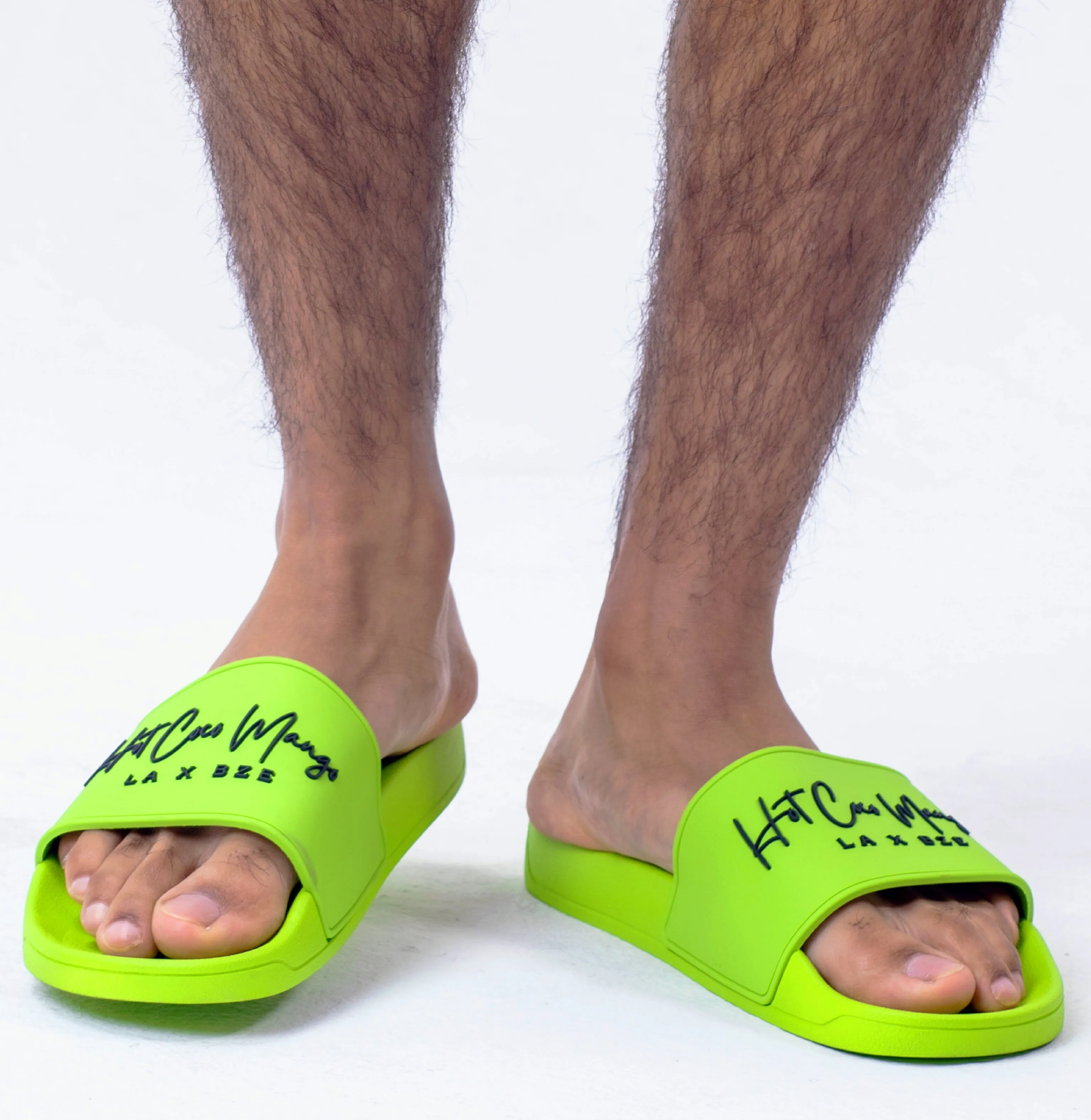 HCM Logo Slides