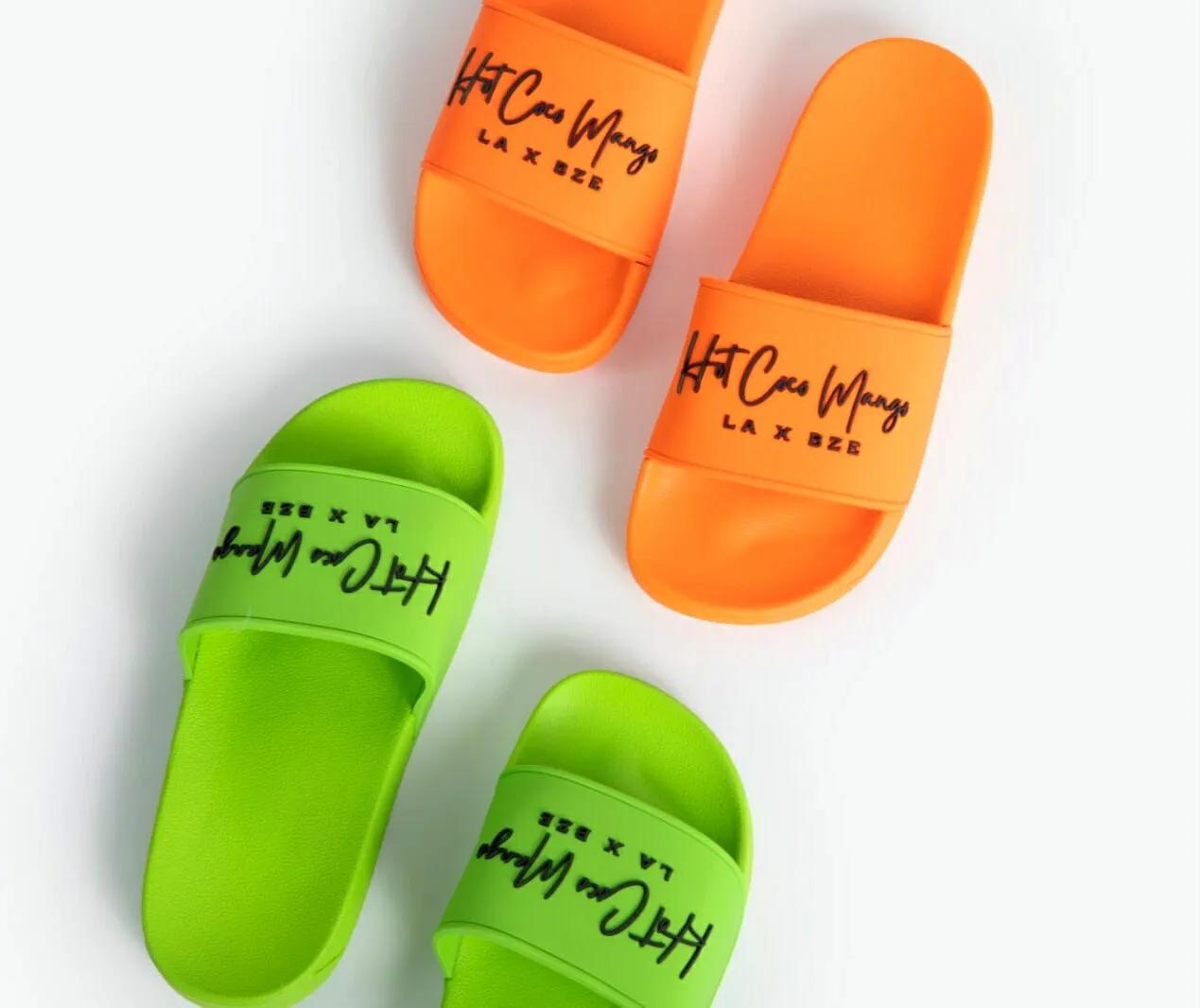 HCM Logo Slides