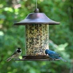 HG850163D Bird Feeder Panorama Small Brown