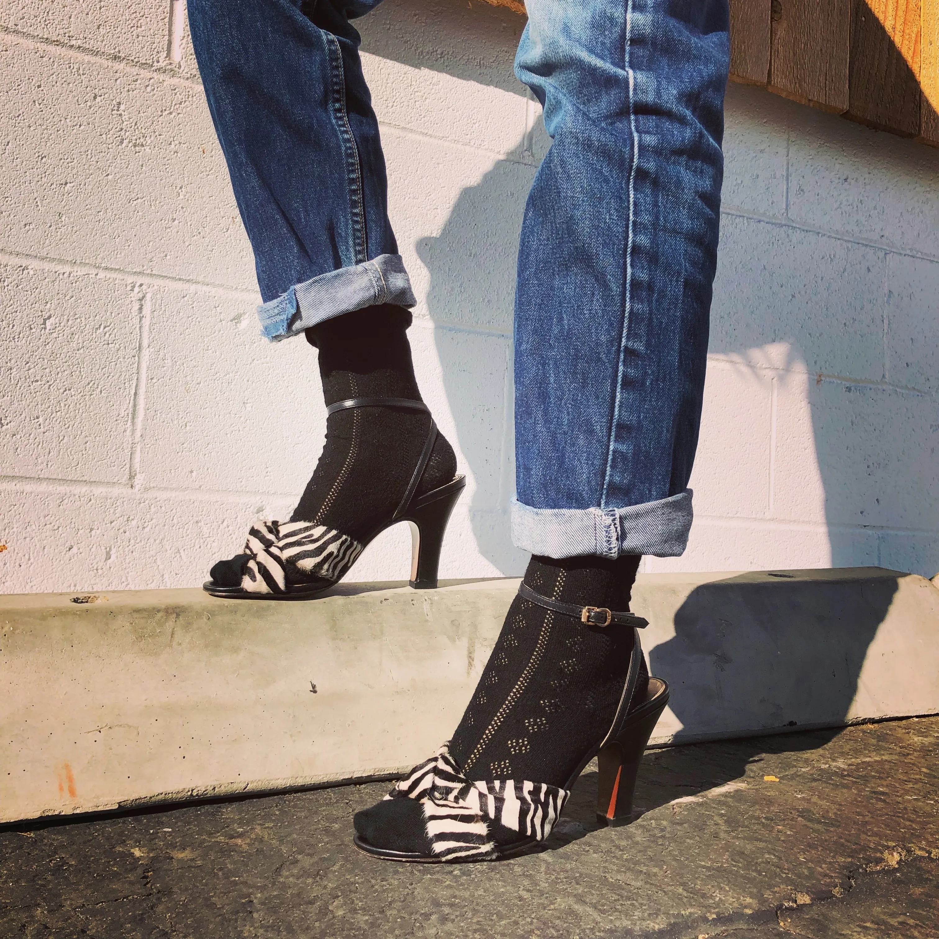 NORMA - Zebra