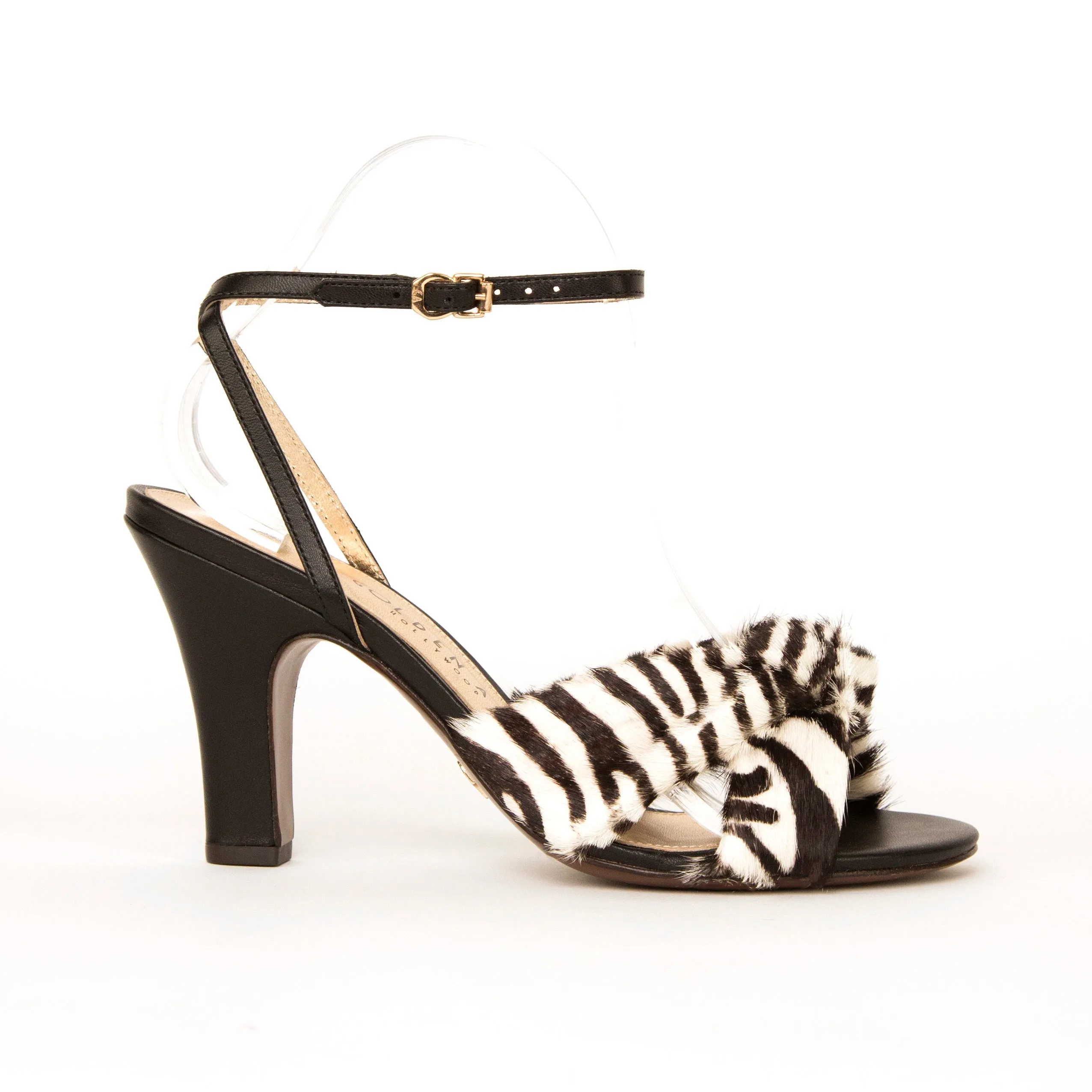 NORMA - Zebra