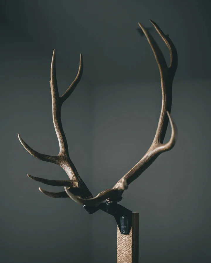 Rack Hub