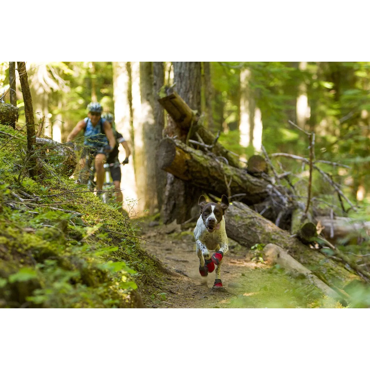 Ruffwear® | Grip Trex™ All-Terrain Dog Boots