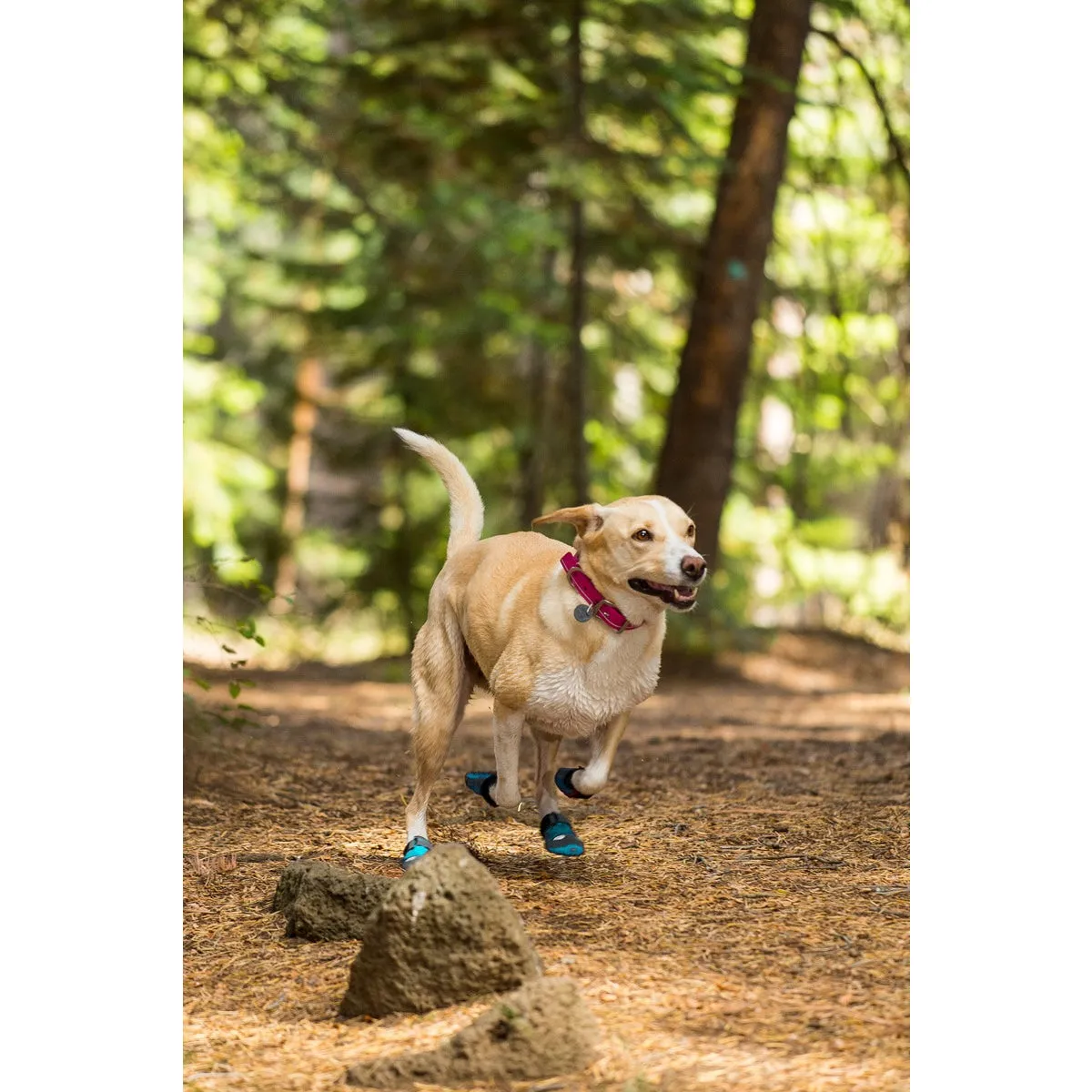 Ruffwear® | Grip Trex™ All-Terrain Dog Boots