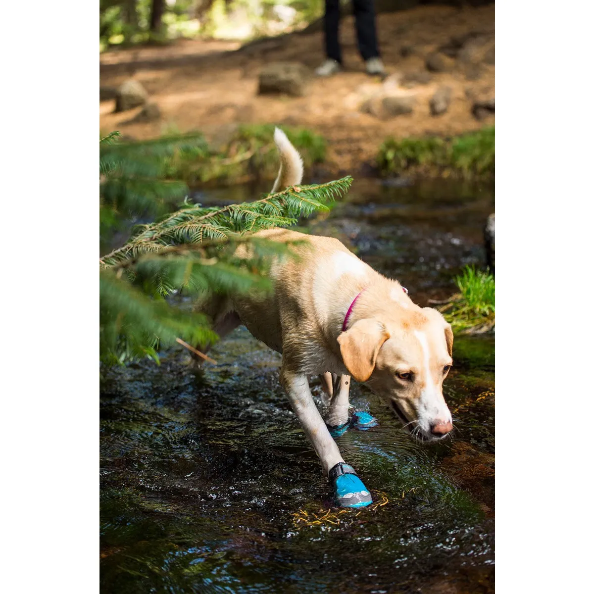Ruffwear® | Grip Trex™ All-Terrain Dog Boots