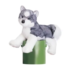 Sasha Husky